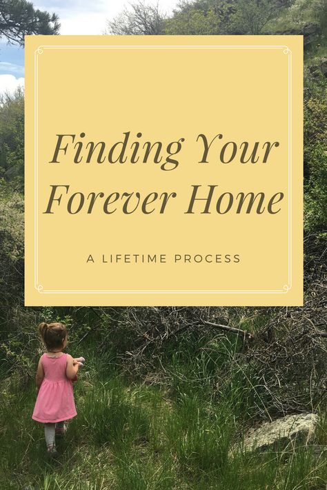 Finding Your Forever Home Forever Home, Come Back, Letter Board, Take A, Honey, Finding Yourself, Parenting, Novelty Sign, In This Moment