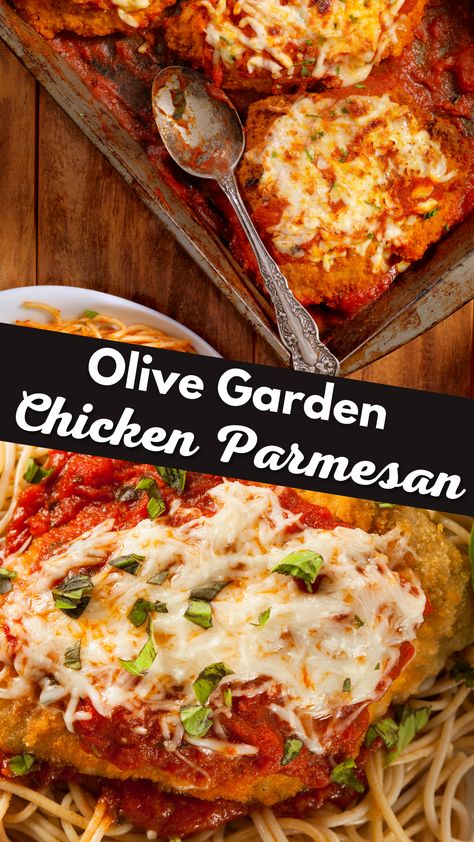 Olive Garden's Chicken Parmesan Olive Garden Chicken Castellina, Olive Garden Chicken Parmesan Recipe Copycat, Copycat Olive Garden Chicken Parmesan, Chicken Parmesan Recipe Olive Garden, Olive Garden Parmesan Chicken, Olive Garden Chicken Parmesan Recipe, Parmasean Chicken Recipe, Olive Garden Chicken Parmigiana, Homemade Chicken Parmesan