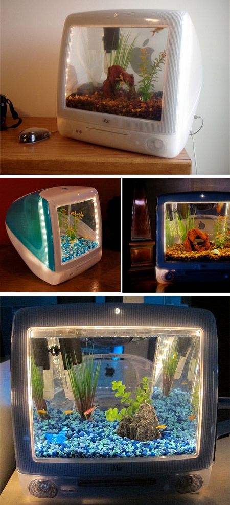 Cool Aquariums, Amazing Aquariums, Cool Fish Tanks, Fish Tank Design, Apple Computers, Fish Tank Ideas, Cool Fish, Aquarium Ideas, Aquarium Design