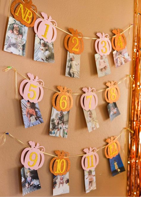 Fall Baby Birthday, Fall First Birthday, Fall 1st Birthdays, Baby Thanksgiving, Halloween First Birthday, Baby First Birthday Themes, Halloween 1st Birthdays, Pumpkin Birthday Parties, Pumpkin 1st Birthdays