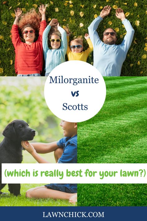 I's important to choose the right type of fertilizer for your lawn. And like with so many other types of lawn care products, brand matters. Two of the best known fertilizer brands in the United States are Milorganite and Scotts. In this blog post, we'll tell you everything you need to know about Milorganite and Scotts fertilizers, comparing their features and taking a deep dive into what they can do for you. Milorganite Fertilizer, Fall Lawn, Lawn Food, Lawn Fertilizer, Lawn Equipment, Grass Seed, Going Natural, Green Lawn, Organic Fertilizer