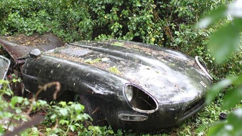 Jaguar Sports Car, Bush Painting, Jaguar Xj40, Jaguar Sport, Jaguar Type, Jaguar (cars), Dug Out, Jaguar Cars, Rusty Cars