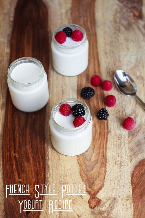 French Style Potted Yogurt Recipe French Yogurt Recipe, Parfait Yogurt, Yogurt Biscuits, Pancakes Yogurt, Chicken Yogurt, Smoothies Yogurt, Yogurt Ideas, French Yogurt, Instant Pot Yogurt