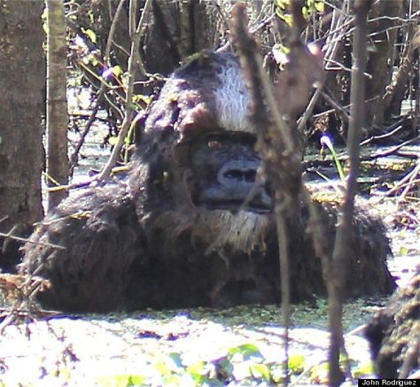 Fisherman Says He Saw Bigfoot Bathing ... And He Sent Us A Picture! Real Bigfoot, Forest Giant, Bigfoot Pictures, Water Monster, Skunk Ape, Pie Grande, Bigfoot Sightings, Unexplained Mysteries, Unexplained Phenomena