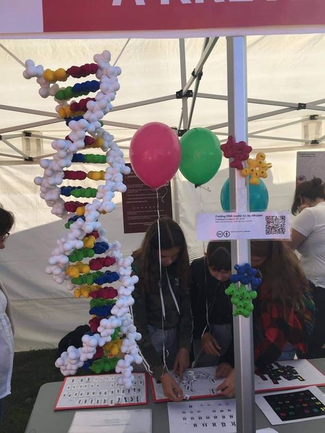 Dna Strand Model, 3d Dna Structure Project, 3d Dna Project, Dna Project Models, Diy Dna Model, Dna Model Project Ideas, Dna Structure Model, Dna Replication Model, Biology Model