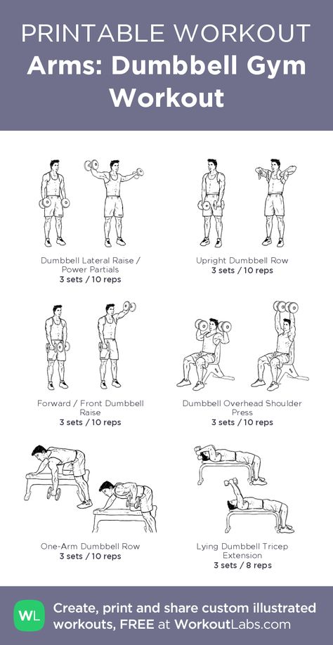 Arms: Dumbbell Gym Workout– my custom exercise plan created at WorkoutLabs.com • Click through to download as a printable workout PDF #customworkout Traps Workout At Home, Arm Workout Gym, Arm Workout For Beginners, Ectomorph Workout, Dumbbell Arm Workout, Traps Workout, Workout Labs, Fitness Studio Training, Workout Daily