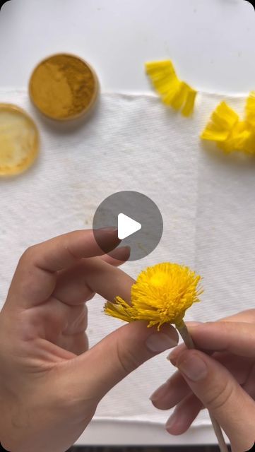 Kate Friedler on Instagram: "California tree poppy in under 60 seconds!!   #papergardenerssociety #paperflower #paperpoppy #californiatreepoppy #crepepaperflower #crepepaperart #crepepaperfoliage #paperpoppies" Crepe Paper Poppies Diy, Crepe Paper Poppy Flowers Diy, Handmade Flowers Crape Paper, Crepe Poppy Flower, Crepe Paper Big Flowers, Giant Flowers, Crepe Paper, Paper Flowers, Poppies