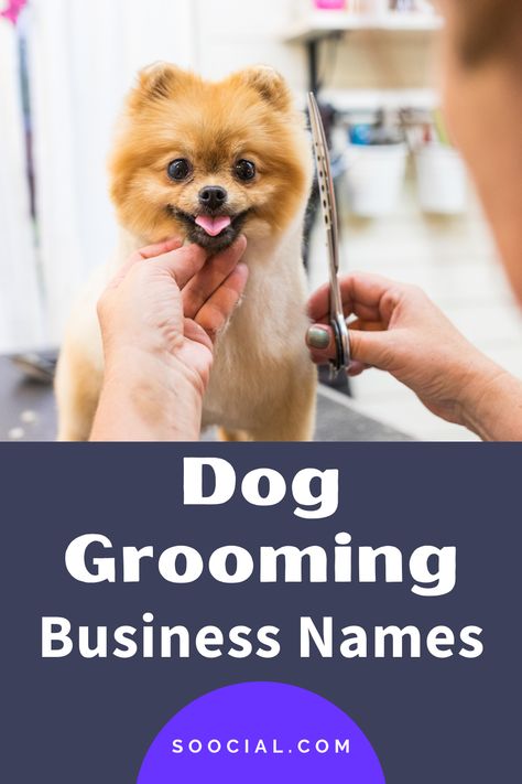 Dog Grooming Names Ideas, Dog Grooming Business Names, Grooming Salon Names, Dog Grooming Logo Ideas, Home Dog Grooming Salon Ideas, Dog Grooming Salon Ideas, Dog Grooming At Home, Dog Grooming Diy, Pet Grooming Business