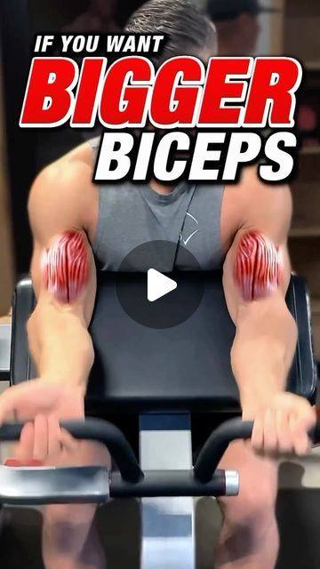 Long Head Bicep Workout, Bicep Workout Gym, Bigger Biceps, Bicep Workout, Different Types Of Curls, Dumbbell Curls, Preacher Curls, Shoulder Day, Big Biceps