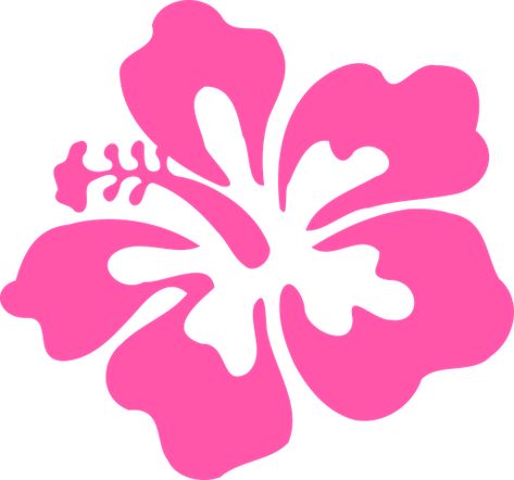 Hibiscus, Pink, Tropical, Flower, Floral Tropical Flower Stencil Patterns, Tropical Flower Svg Free, Flowers In Hawaii, Hawaiin Flowers Drawings, Hibiscus Flower Silhouette, Cartoon Hibiscus Flower, Tropical Flower Art, Tropical Flower Illustration, Hawaii Widgets