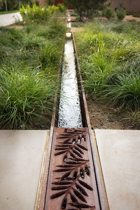 Conrad Hilton Foundation - Van Atta Associates - Santa Barbara, California Conrad Hilton, Diy Water Feature, Drainage Channel, Planting Design, Diy Water, Water Features In The Garden, Water Management, Rain Garden, Have Inspiration