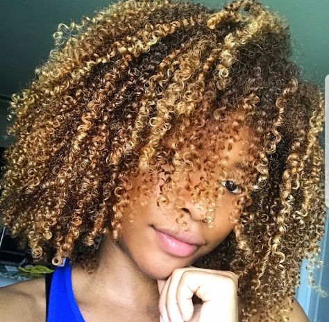 Natural Crochet Hair, Hair Shapes, Natural Hair Highlights, Curly Highlights, Blonde Natural Hair, Highlight Ideas, Highlights Curly, Blonde Natural, Dyed Curly Hair