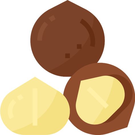 Macadamia Nut Illustration, Macadamia Illustration, Food And Restaurant, Macadamia Nut, Macadamia Nuts, Free Icon, Flat Icon, More Icon, Food Presentation