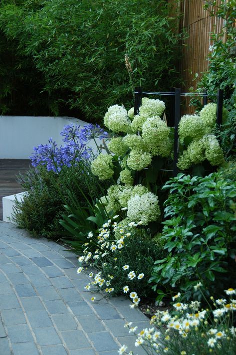 Garden Border Plants, Hydrangea Landscaping, Front Garden Design, Hydrangea Garden, Back Garden Design, Casa Exterior, Contemporary Garden, Have Inspiration, Outdoor Gardens Design