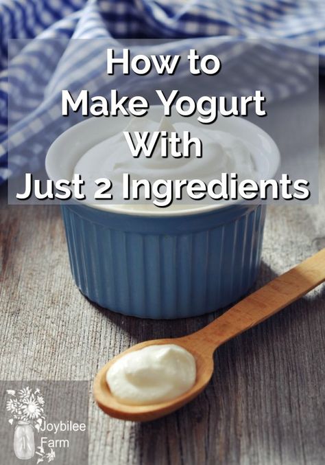 How to make yogurt at home with just 2 ingredients and no special equipment! #homesteading #homesteadingkitchen #yogurtrecipe Diy Yogurt, Homemade Yogurt Recipes, Make Your Own Yogurt, Dairy Snacks, Yoghurt Recipe, Make Greek Yogurt, Coconut Milk Yogurt, Farm Diy, Homemade Greek Yogurt