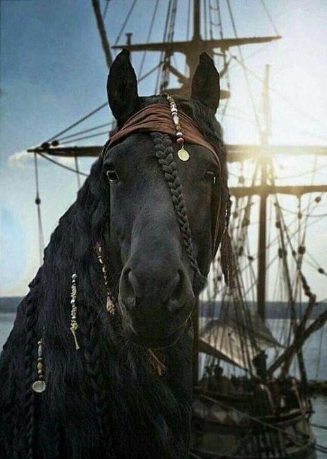 Pirates of the Caribbean: Animal Edition #piratesofthecarribean #pirates #disney #johnnydepp #art #jacksparrow #artist #fun #instagram #captainjacksparrow #pirate #pirateslife #piratesofthecaribbean #davyjones #horses #jacksparrowcosplay #exictment #animals #poneys #horsesofinstagram #horsestagram #instagood Horse Halloween Costumes, Horse Costumes, Most Beautiful Horses, Friesian Horse, Majestic Horse, Captain Jack Sparrow, All The Pretty Horses, Horse Crazy, Captain Jack