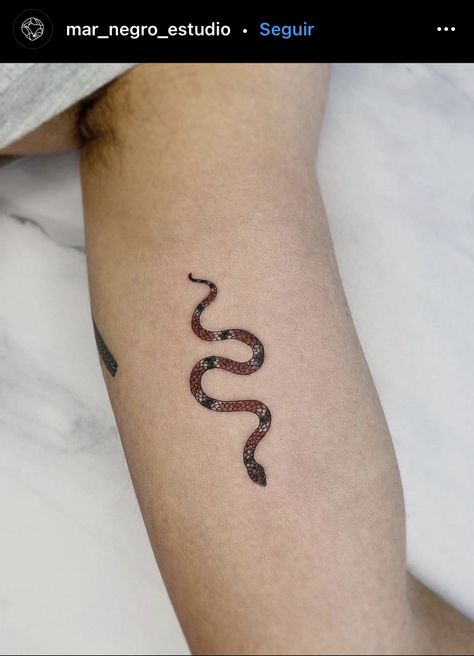 Coral Snake Tattoo, Coral Tattoo, Coral Snake, Snake Tattoo, Future Tattoos, Infinity Tattoo, Tattoo Drawings, Tatting, Tattoo Quotes