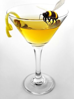 The Bee’s Knees  There are a number of different variations on this classic. It found fame in the Prohibition era because honey and lemon were supposed to mask the scent of liquor. Give it a try... https://www.facebook.com/Berkots/photos/a.245358022193941.65672.178584205537990/720376451358760 Honey Martini, Bees Knees Cocktail, Juice Ice, Vanilla Vodka, Honey Syrup, No Rain, Bees Knees, Adult Drinks, Party Drinks