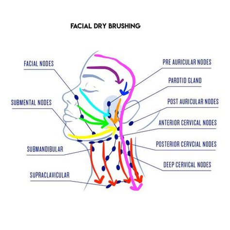 Organic Olivia, Lymph Drainage Massage, Facial Puffiness, Lymph Massage, Lymph System, Lymph Drainage, Parasympathetic Nervous System, Lymph Nodes, Massage Techniques