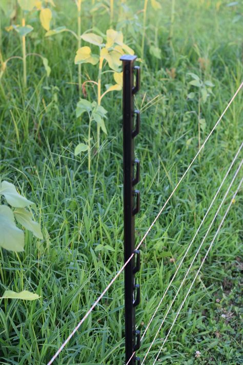 Electric Fence For Garden, Electric Fence Ideas, Stock Fencing, Rabbit Fence, Agricultural Fencing, Deer Garden, Fenced Vegetable Garden, Deer Proof, Garden Prepping