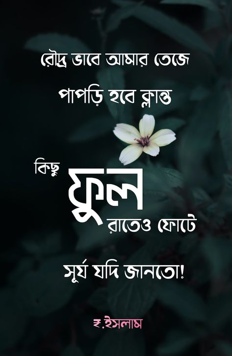 Bengali, Flower, bangla, thought, Bengali quote Rain Quotes In Bengali, Bengali Life Quotes, Bangla Caption For Dp, Bengali Quotes On Love, Bengali Poem Lines, Bangla Quotes Deep, Bengali Quotes Life, Dairy Quotes, Camera Knowledge