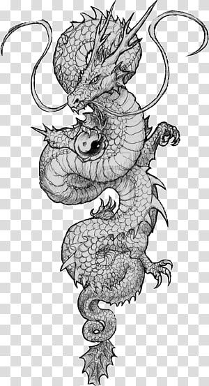 Dragon Tattoo Japanese, Tattoo Japanese Dragon, Chinese Dragon Tattoo, Dragon Tattoo Drawing, Japanese Dragon Drawing, Dragon Tattoo Sketch, Drawing Dragon, Tato Naga, Dragons Tattoo