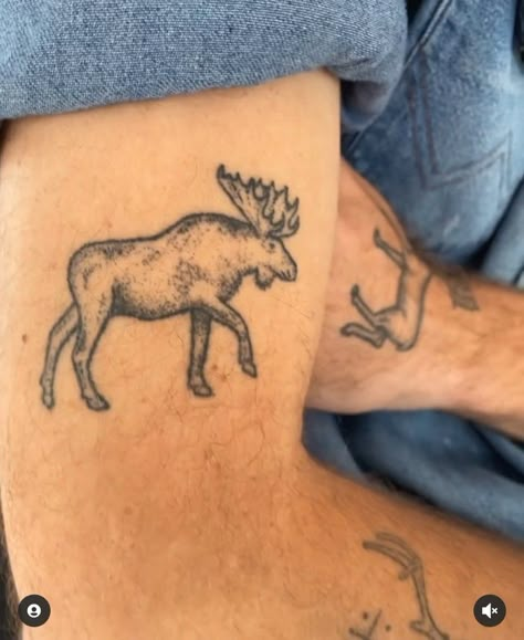 Healed Manitoba Tattoo, Smokey Mountain Tattoo, Appalachia Tattoo, Montana Tattoos, Alaska Tattoo, Montana Tattoo, Moose Tattoo, Animal Sleeve, Etch A Sketch