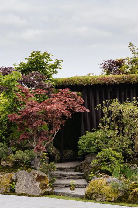 Chelsea Flower Show Gardens, Hamptons Garden, Chelsea Garden, British Garden, Fragrant Plant, Mediterranean Garden, Small Outdoor Spaces, Garden Show, Drought Tolerant Plants