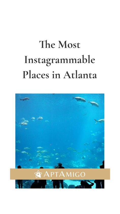 The Most Instagrammable Places in Atlanta Attractions & Activities,Buckhead Atlanta,Downtown Atlanta,Midtown Atlanta,Old Fourth Ward Atlanta,West Midtown Atlanta Places In Atlanta, Atlanta Downtown, Apartment Locator, Atlanta Midtown, Places To Take Pictures, Midtown Atlanta, Downtown Atlanta, Georgia Aquarium, Animal Experiences