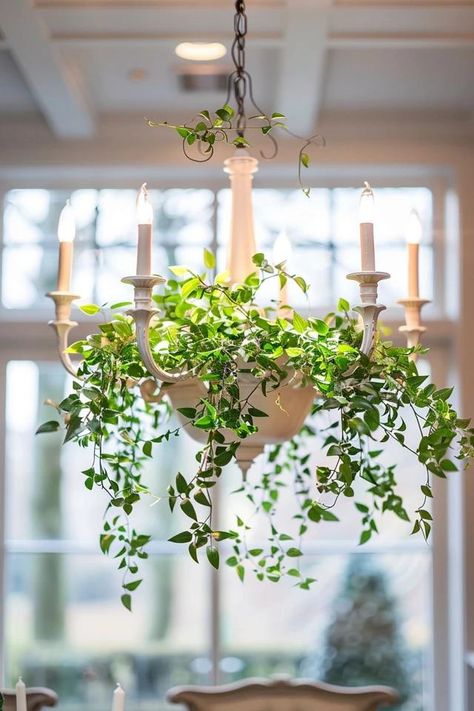 How To Decorate A Chandelier With Greenery: Elegant Touches Chandelier Foliage, Garland On Chandelier, Decorating Chandeliers For Christmas, Decorate Chandelier For Christmas, How To Decorate A Chandelier, Chandelier Greenery, Decorate Chandelier, Chandelier Decorations, Backyard Balcony