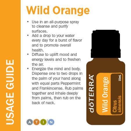 doTERRA Wild Orange ~ To explore and purchase essential oils visit: https://www.mydoterra.com/sarajanelle/#/ or on Facebook https://www.facebook.com/doterrasarajanelle/ Terra Essential Oils, Essential Oil Usage, Wild Orange Essential Oil, Doterra Essential Oils Recipes, Essential Oil Remedy, Ginger Essential Oil, Oil Remedies, Bergamot Essential Oil, Wild Orange