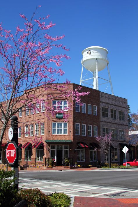 There's no shortage of small towns in Georgia at which to stop. Whether you're looking for history, shopping, town squares or fun, we have you covered. Small Town Usa Aesthetic, Small Town Georgia Aesthetic, Small Town Square, Small Town Texas, Senoia Georgia, Texas Small Towns, Small Town Downtown Main Street, Georgia Usa, Small Town America