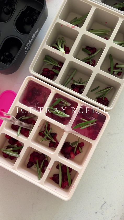 kaeli mae (@kaelimaee) Official | TikTok Ice Restock, Kaeli Mae, Flavored Ice Cube, Flavored Ice Cubes, Food Saver, Ice Molds, 5 Minute Crafts Videos, Ice Cube Trays, Birthday Food