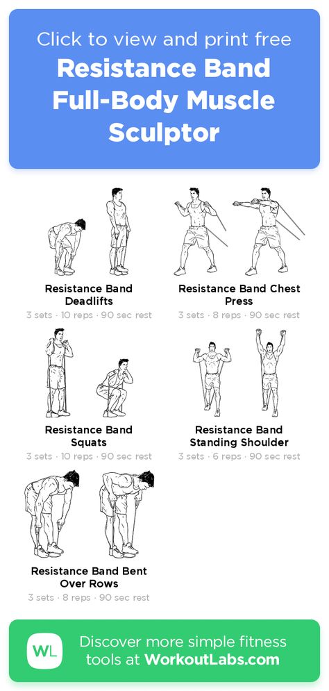 Resistance Band Full-Body Muscle Sculptor · Free workout by WorkoutLabs Fit Full Body Resistance Band Workout Men, Full Body Band Workout Resistance, Resistance Band Workout Men, Resistance Band Exercises For Men Workouts Full Body, Resistance Band Exercises For Men Chest, Resistance Band Workouts For Men, Band Workouts For Men, Resistance Band Chest Workout, Resistance Band Exercises For Men