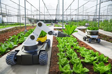 Routine Work, Learn Robotics, Smart Farm, Farming Technology, Precision Agriculture, Farming Techniques, Agriculture Industry, Vertical Farming, Future Farms