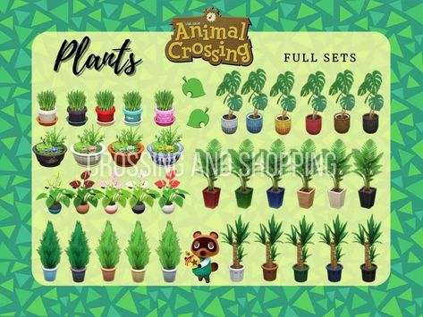 Cypress Plant, Nintendo Switch Animal Crossing, Anthurium Plant, Animal Crossing Guide, Mexico Design, Animal Crossing Wild World, Animal Guides, Island Theme, Animal Crossing Characters