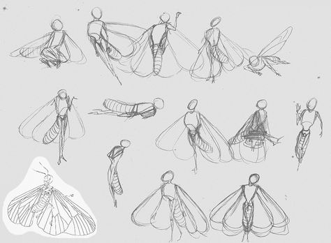 Atyria, The Tiny Little Moth - model sheet Moth Wing Drawing Reference, How To Draw Moth Wings, Moth Fursona Base, Moth Wings Drawing Reference, Diy Moth Antenna, Moth Armor, Winged People Drawing Reference, Moth Person Art, Mothman Oc