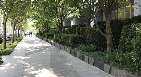 Streetscape Design, Commercial Street, Street Trees, Porch Garden, Stone Planters, Public Realm, Floating Flowers, Water Walls, Landscape And Urbanism