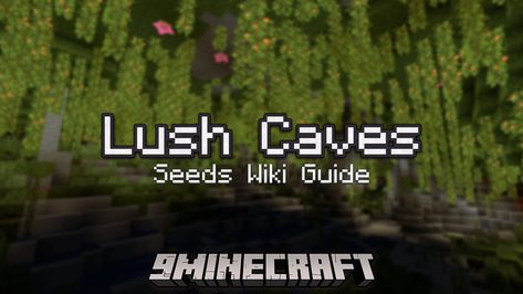 Lush Cave Seeds Minecraft, Lush Cave, Minecraft Underground, Minecraft Seeds, Minecraft Seed, Underground Caves, Cave System, Create A World, Java