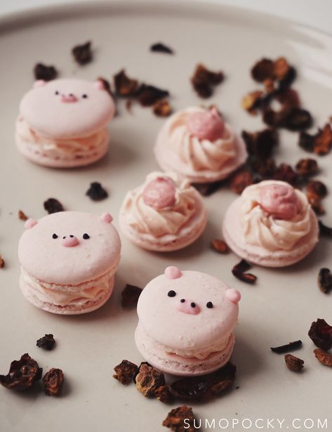 Mango Tea, Macaron Filling, Pig Cookies, Macaroon Cookies, Macaron Cookies, Kawaii Dessert, Macaroon Recipes, Cute Baking, Macaron Recipe