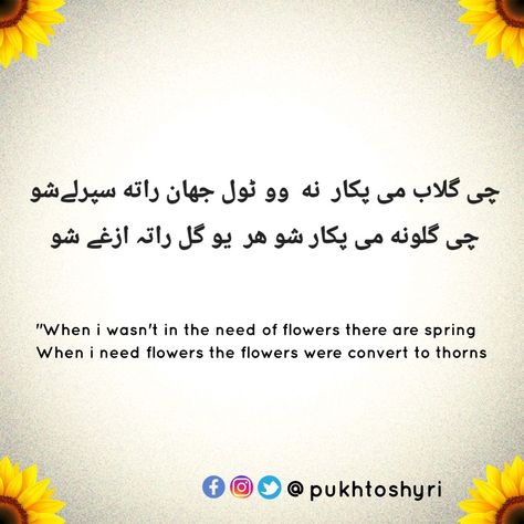 Pashto Quotes In English, Pashto Poetry Attitude, Sk Images Letter Love, Good Manners Quotes, Manners Quotes, Fruits Name In English, Pashto Shayari, Pashto Quotes, Poetry Pic