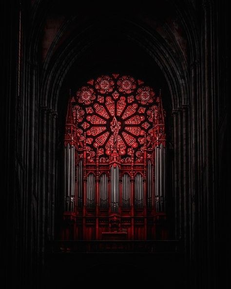 Crimson lights of the "Rosetta" stained glass window. Church Aesthetic, Gothic Windows, Gothic Cathedrals, Ancient Greek Architecture, Gothic Cathedral, Stone Architecture, Church Architecture, Gothic Architecture, Gothic House