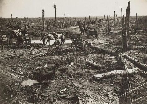 No Man's Land Western Front 1916 http://t.co/dCGzVhJaLJ http://t.co/Puwp4AugR6 http://t.co/cHcvCnrIoV Divine Photography, Arnold Genthe, Battle Of Ypres, Titanic Artifacts, No Man's Land, Fire Damage, Twin Towers, United Airlines, Ansel Adams