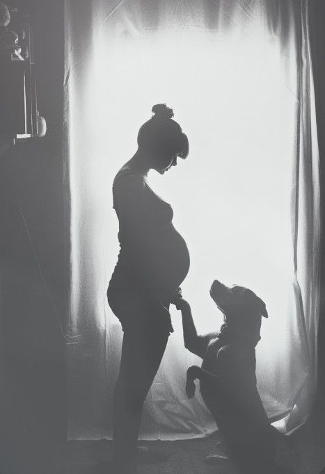 Intimate Maternity Photos Couples At Home, Diy Maternity Photos At Home Simple, Maternity Dog Photoshoot, Fun Pregnancy Photos, Pregnancy Bouidor Photo Shoot, Pregnant Besties, Vom Avea Un Copil, Vogue Kids, Maternity Photography Poses Pregnancy Pics