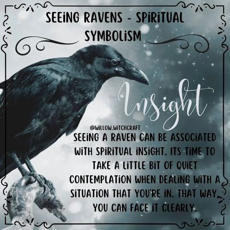 ૨αѵεɳ ɱαɠเ૮ҡ 🐦‍⬛ Seeing Ravens ~ Spiritual Symbolism ☆INSIGHT☆ #todaysposts #topicoftheday #ravens #ravenmagick #seeingravens #seeingravenssymbolism #ravensspiritualsymbolism Raven Spiritual Meaning, Raven Symbolism, Crow Facts, Spirit Animal Meaning, Animal Meanings, Animal Spirit Guides, Eclectic Witch, Animal Spirit, Witchy Crafts