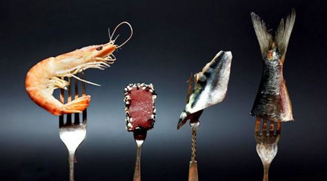 "Massive Seafood Fraud Uncovered." http://www.honeycolony.com/article/massive-seafood-fraud-uncovered/ Fish Food Photography, Seafood Bar, Professional Food Photography, Food Art Photography, Food Photography Inspiration, Food Photography Tips, Dutch Recipes, Food Photography Styling, Sea Food