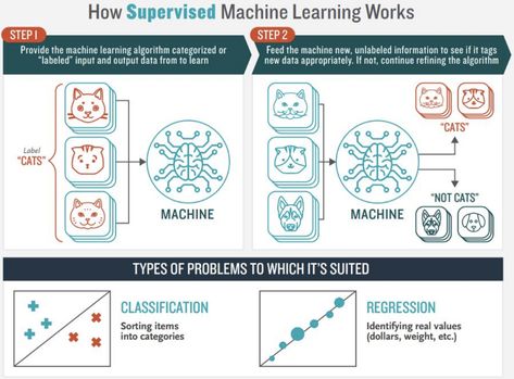 Supervised Learning. In machine learning, Supervised… | by Jorge Leonel | Medium Supervised Machine Learning, Conditional Probability, Class Labels, Supervised Learning, Data Science Learning, Standard Deviation, Predictive Analytics, Data Scientist, Deep Learning