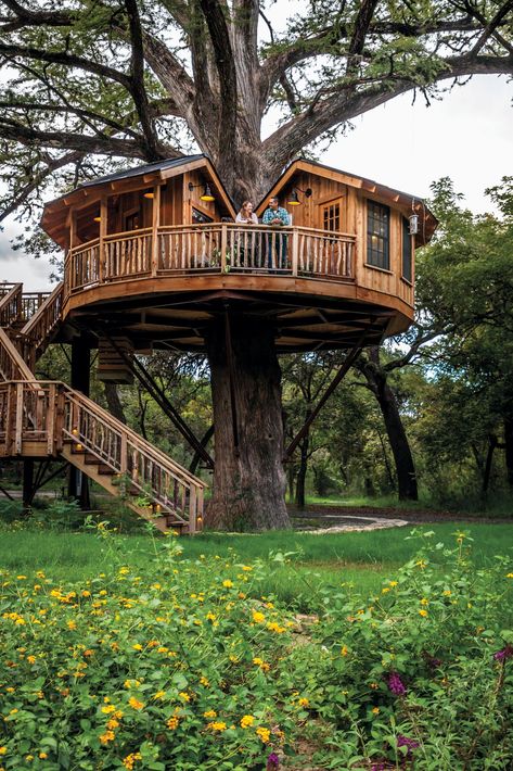 Fantasy Dwellings, Treehouse Construction, Luxury Tree Houses, Beautiful Tree Houses, Building A Treehouse, Tree House Plans, Tree House Diy, Cool Tree Houses, Tree House Designs