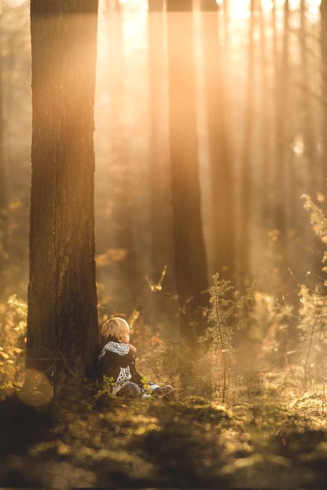 lsleofskye: “ Enchanted forest ” Fairytale Photoshoot, Boy Photo Shoot, Landscape Forest, Forest Baby, Toddler Photography, Fairytale Photography, Forest Photos, Gorgeous Scenery, Magic Forest