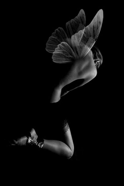 / Papillon Butterfly, Foto Art, Charles Bukowski, Angels And Demons, Fairy Angel, Black White Photos, Foto Inspiration, White Photo, Dark Night